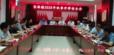 宋埠镇确保新学期开学工作平稳有序