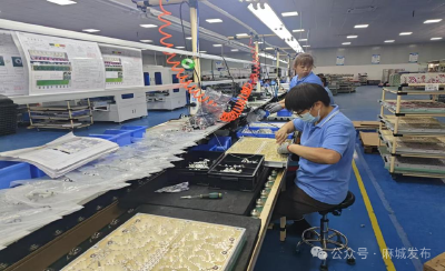 10天到账300万 担保公司帮助企业解困