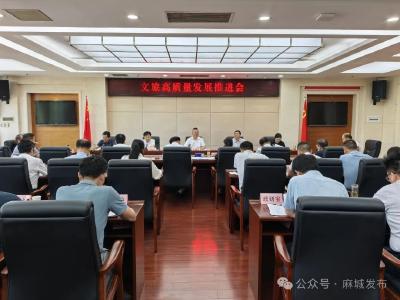 汪国兵调度文旅高质量发展工作