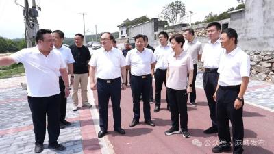 安徽省舒城县人民政府来麻城考察