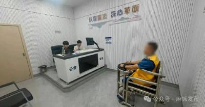 麻城警方48小时破获流窜盗窃案