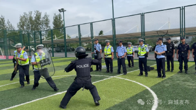 战时为警 训时为师 警营“教官团”送教下乡淬尖兵