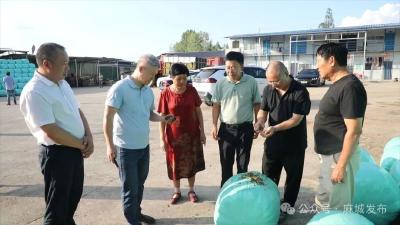 麻城市禾旺青稞种植专业合作社申报全国饲草料技能竞赛
