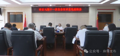 市委九届十一次全会征求意见座谈会召开