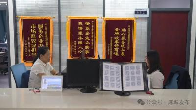 【民生大视野】电子证章线上行 即享服务更便民 