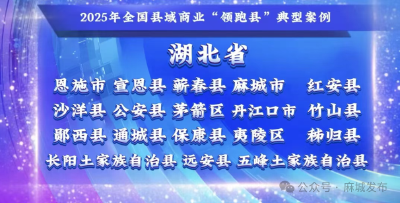 麻城成功入选2025年全国县域商业“领跑县”