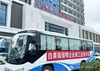 麻城：精准施策铺就家门口就业路