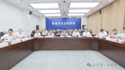 区域性中心城市建设工作专班大力推进河东排水等项目加快建设步伐