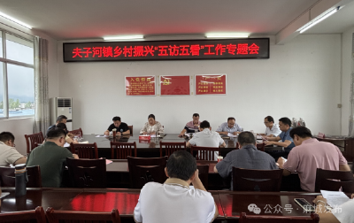 夫子河镇：精心谋划组织 奋力推进“五访五看”