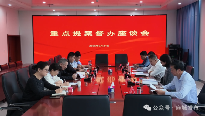 市政协督办重点提案
