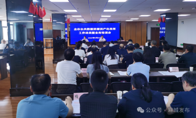 推进公共数据资源资产化改革 奋力书写数据要素改革“麻城答卷”