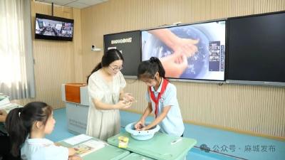 【麻城教育新视线】擦亮麻城教育品牌 办好人民满意教育（二十八）