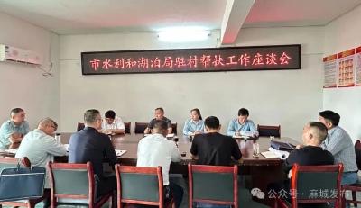 市水利和湖泊局到木子店镇指导乡村振兴驻村帮扶工作