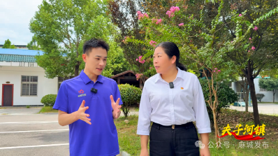 【支点建设书记（局长）访谈】⑧做强特色产业集群 助推“支点建设”——访夫子河镇党委书记朱贤花