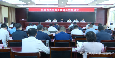 以决战决胜姿态 奋力夺取美丽城乡建设全年红