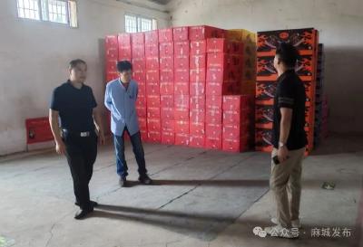 市应急管理局开展危化(烟花爆竹)领域节前安全隐患排查