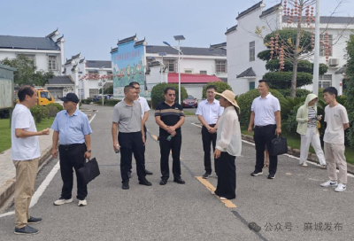 宋埠镇赴嘉鱼县四邑村学习交流 赋能养老服务体系提升