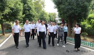 王兴於来麻城调研乡村振兴、一线协商等工作