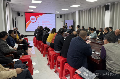 宋埠镇：强化安全意识 共筑烟花爆竹安全防线