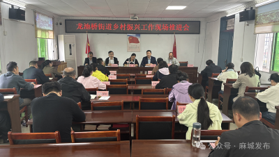 龙池桥街道：经验互学 短板共查