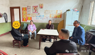 宋埠镇扎实开展乡村振兴教育专项督查行动