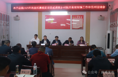 木子店镇树立巩固拓展脱贫攻坚成果同乡村振兴有效衔接工作示范