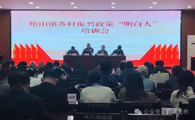 龟山镇：以学促干推动乡村振兴提质增效