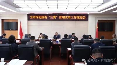 深化国有“三资”管理改革 推动大财政体系建设工作走深走实