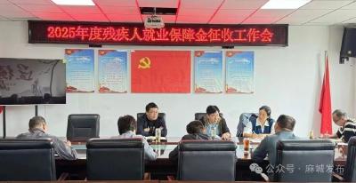 市残联召开2025年残疾人就业保障金征收工作会