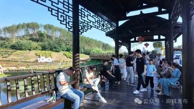 赛事人气为五脑山国家森林公园带来客流