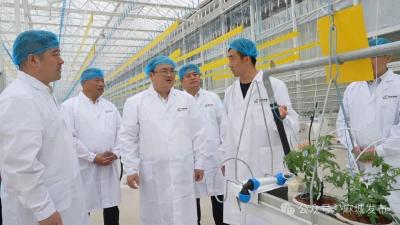 强龙头 延链条 促融合 树品牌 加快推动农业产业链做大做强