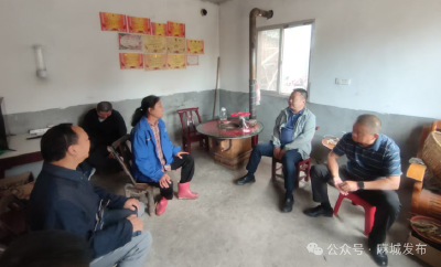 市退役军人事务局赴乡村振兴驻点村调研指导