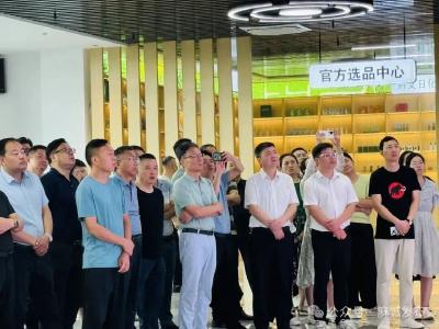 问道取经谋实策 借智破局兴麻城