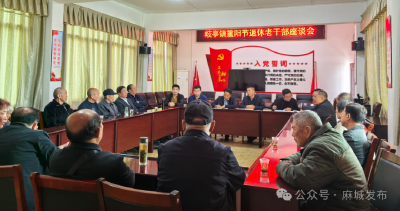 歧亭镇开展2025年重阳节活动