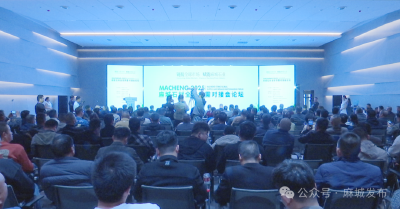 顶尖“智囊团”论道麻城“石”局 共开良方 