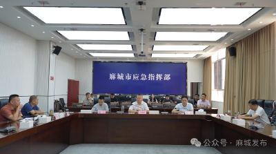汪国兵调度“双节”期间森林防火和安全生产工作