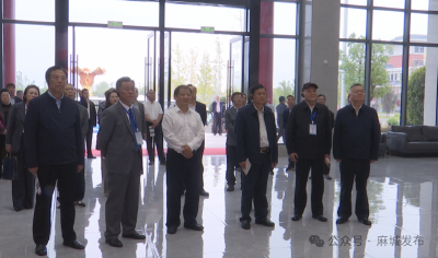 湖北省青少年“中华魂”主题读书活动推进会在麻城召开