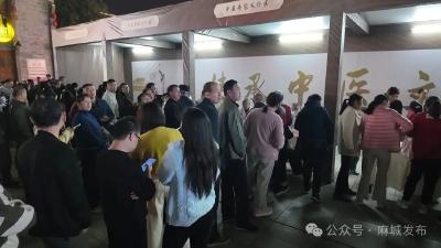 麻城：中医药文化夜市人气爆棚