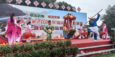 菊香漫到渔火里！麻城这个镇藏着 “日夜双景”~