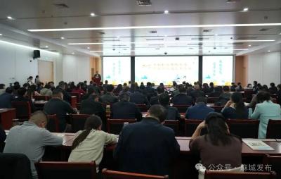 专家学者汇聚中国菊谷 共论麻城中医药传承创新之路