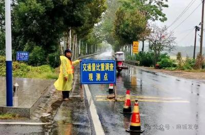 市交通运输局公路事业发展中心圆满完成2025年度国省干线公路交通量比重调查工作