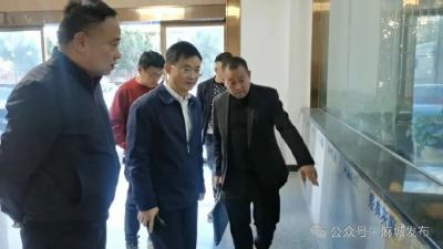 聚焦企业需求 精准破解难题