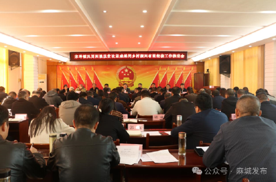 宋埠镇召开乡村振兴工作推进会