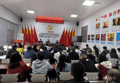 南湖街道：以点带面推动乡村振兴工作走深走实