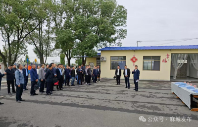 宋埠镇召开巩固拓展脱贫攻坚成果示范村现场观摩会暨重点工作部署会