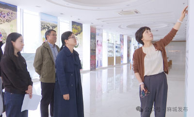 主动高效切实为企业办实事办好事