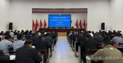 张家畈镇拧紧“责任阀” 扎稳“实干根” 攥紧“接力棒” 