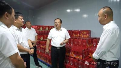 巩固拓展脱贫攻坚成果 奋力推进乡村全面振兴