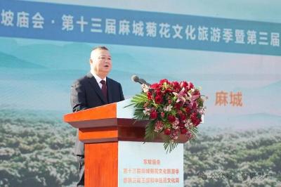 东坡庙会·第十三届麻城菊花文化旅游季暨第三届王叔和中医药文化周盛大开幕