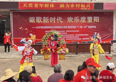 夫子河镇：敬老尊贤成风尚 乡村振兴添底色